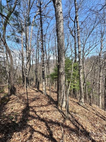 0000 Pinnacle Parkway, Union Mills, NC 28167