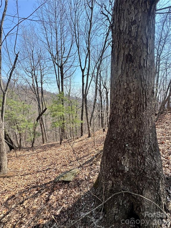 0000 Pinnacle Parkway, Union Mills, NC 28167