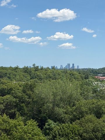 250 Hammond Pond Parkway 1207S, Newton, MA 02467