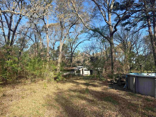 15830 Shady Creek, Tyler, TX 75705