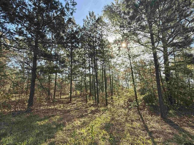 15830 Shady Creek, Tyler, TX 75705