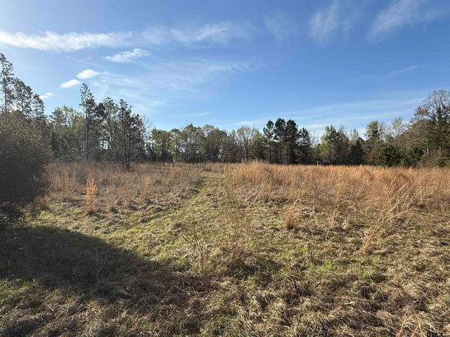 15830 Shady Creek, Tyler, TX 75705