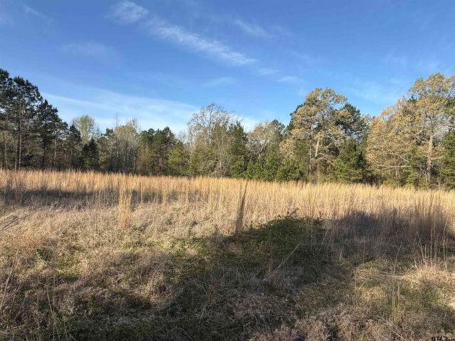 15830 Shady Creek, Tyler, TX 75705