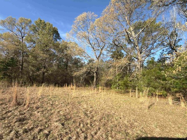 15830 Shady Creek, Tyler, TX 75705