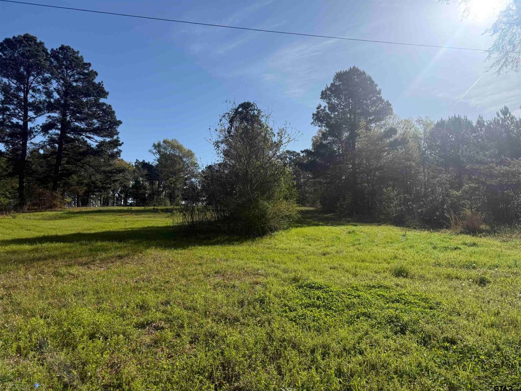 15830 Shady Creek, Tyler, TX 75705