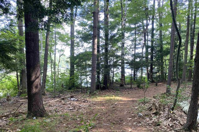 1957 Lake Dunmore Road, Salisbury, VT 05769