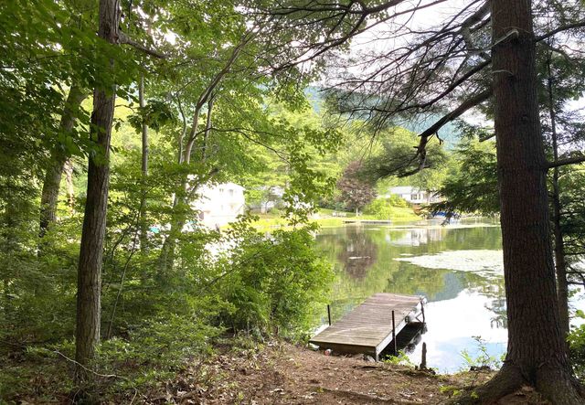1957 Lake Dunmore Road, Salisbury, VT 05769