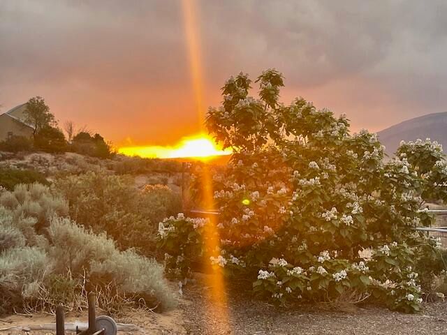 1552 CAMINO HERMOSA, Corrales, NM 87048