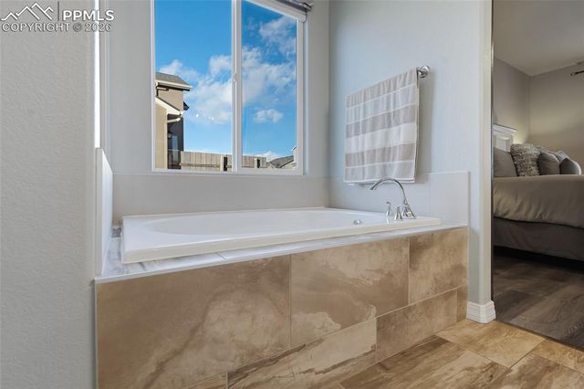 17915 Gypsum Canyon Court, Monument, CO 80132