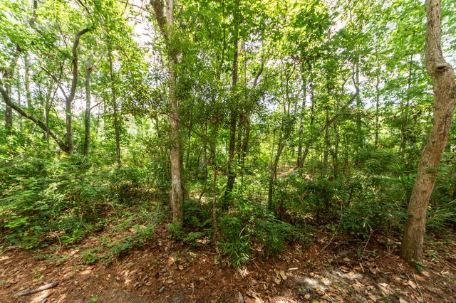 2614 Egret Crest Lane, Charleston, SC 29414