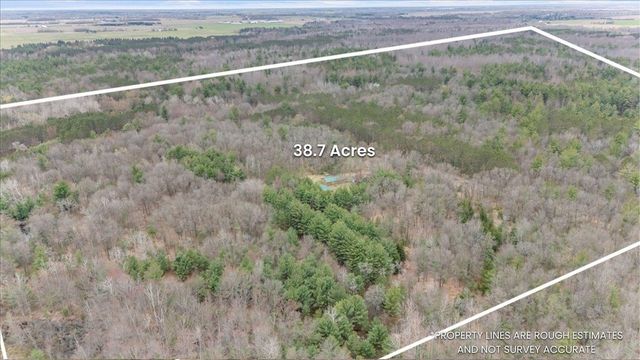 7734 Partlo Road, Reno Twp, MI 48770