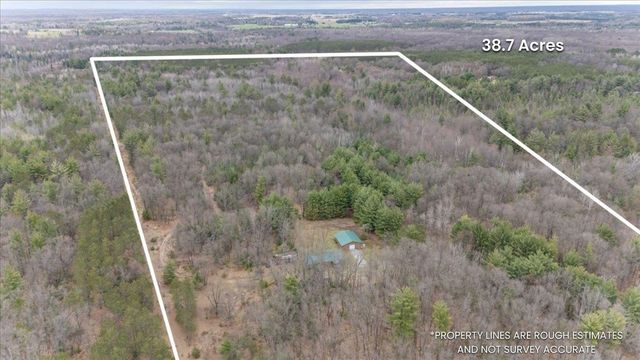 7734 Partlo Road, Reno Twp, MI 48770