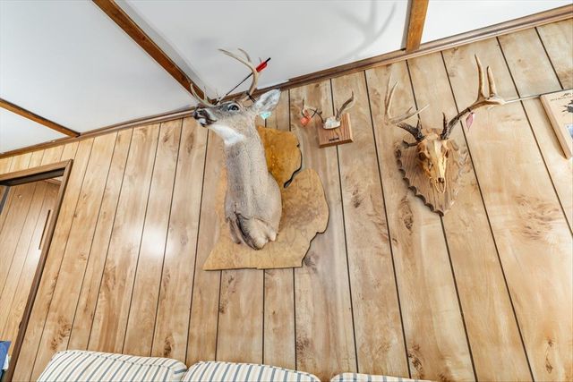7734 Partlo Road, Reno Twp, MI 48770