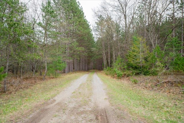 7734 Partlo Road, Reno Twp, MI 48770