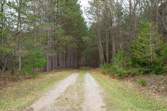 7734 Partlo Road, Reno Twp, MI 48770