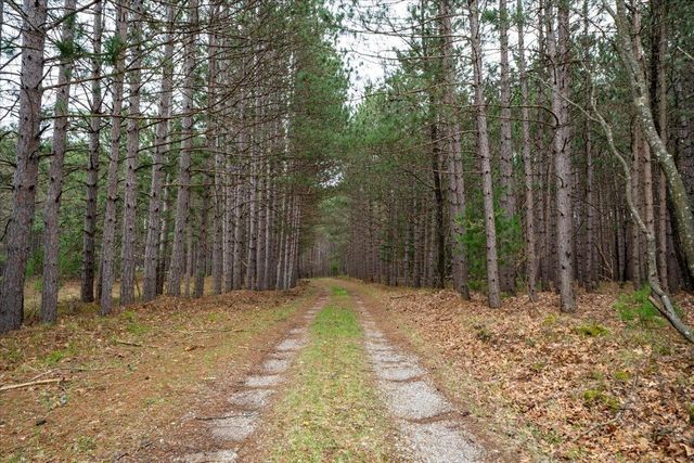 7734 Partlo Road, Reno Twp, MI 48770