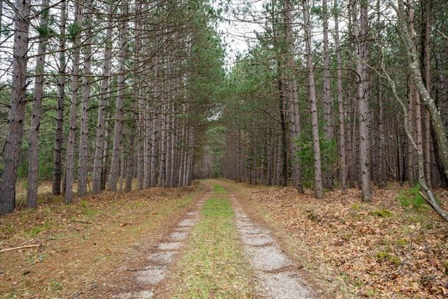 7734 Partlo Road, Reno Twp, MI 48770