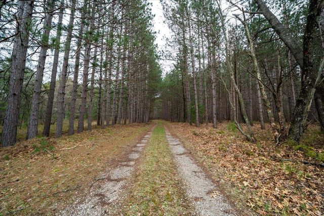 7734 Partlo Road, Reno Twp, MI 48770