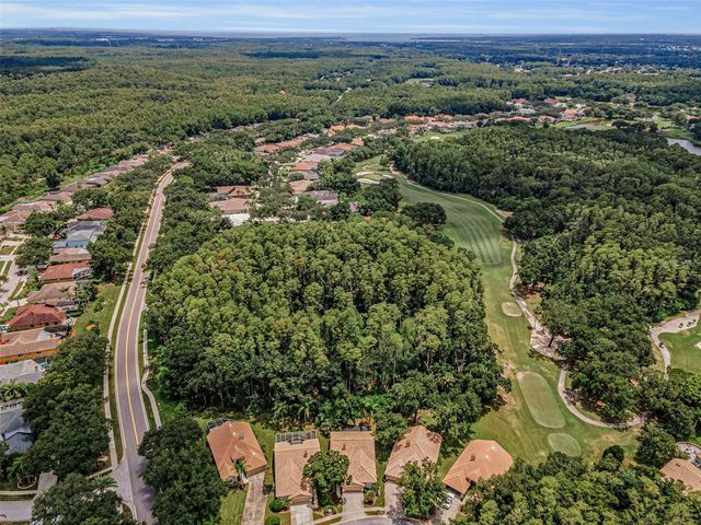 5250 PINEHURST COURT, Oldsmar, FL 34677