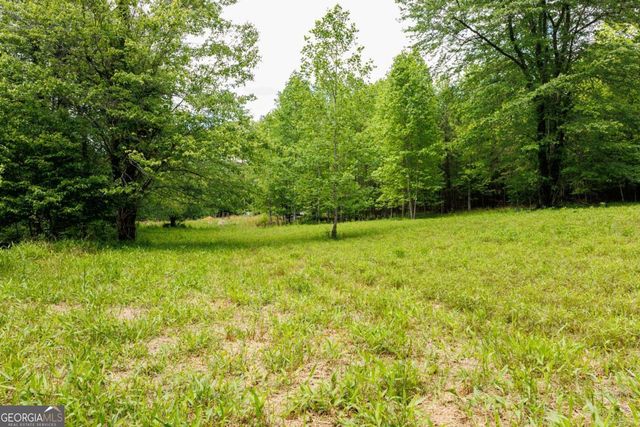 0 Galloway Road, Blue Ridge, GA 30513