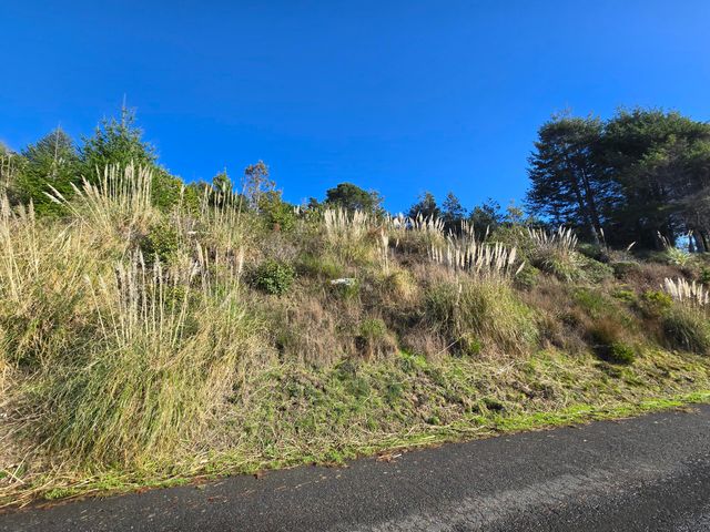 68 Eel Court, Shelter Cove, CA 95589