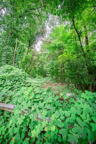 3200 16th Avenue, Chattanooga, TN 37407