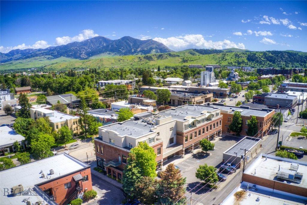 448 E Main Street DR102, Bozeman, MT 59715 photo 14