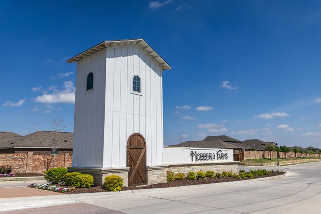 14164 Danesdale Drive, Pilot Point, TX 76258