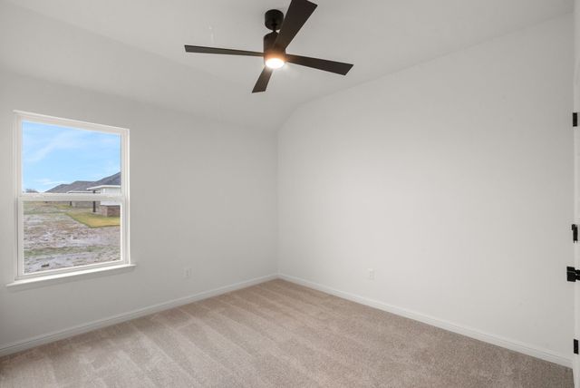 244 Yawney Drive, Lipan, TX 76462