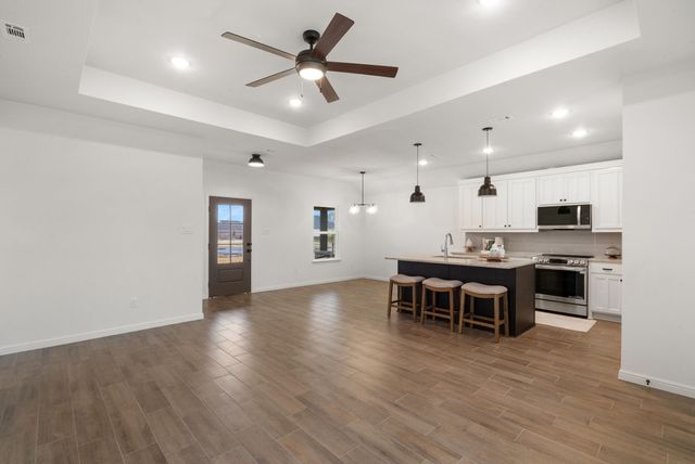 244 Yawney Drive, Lipan, TX 76462