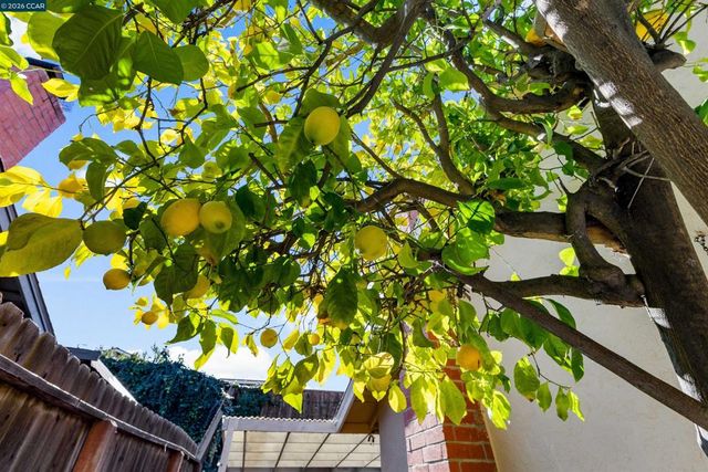 2283 Panoramic Dr, Concord, CA 94520