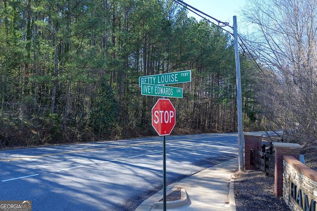 544 Overo Drive, Mcdonough, GA 30253