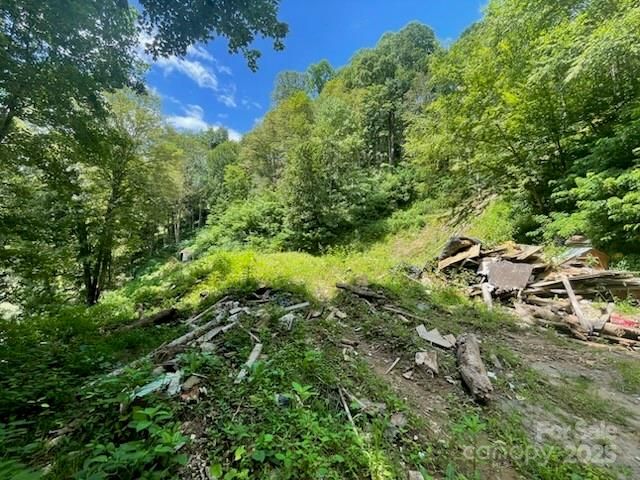 2457 N US 19E Highway, Newland, NC 28657