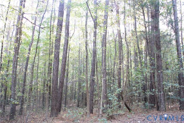 11101 Winterpock Rd, Chesterfield, VA 23838