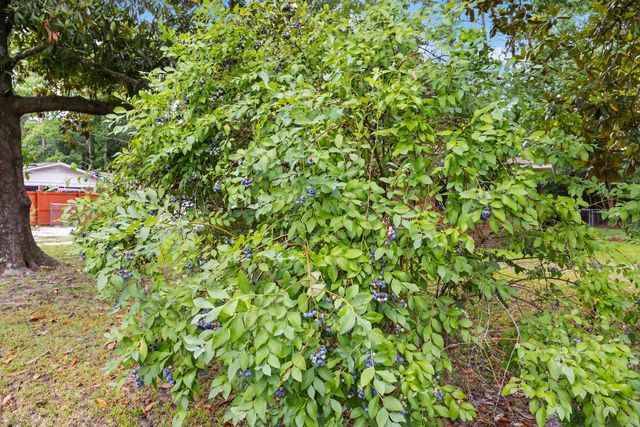 124 Helen Drive, Summerville, SC 29483