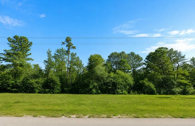 110 Coyote Run, Willis, TX 77378