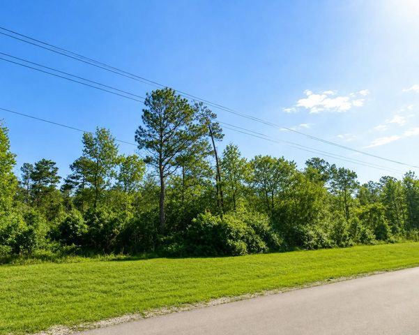 110 Coyote Run, Willis, TX 77378