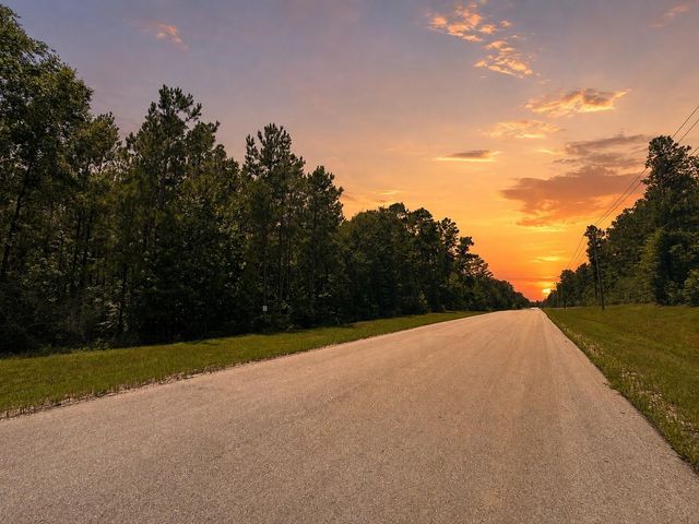 110 Coyote Run, Willis, TX 77378