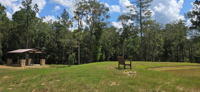 110 Coyote Run, Willis, TX 77378