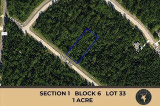 110 Coyote Run, Willis, TX 77378