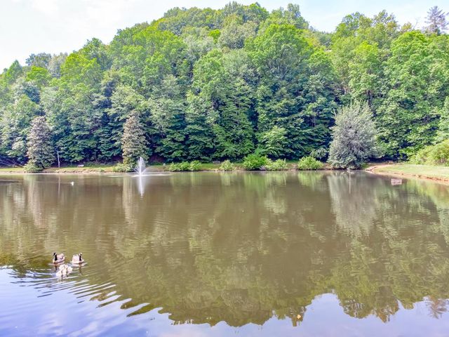 5 W Muller Lane, East Ellijay, GA 30540