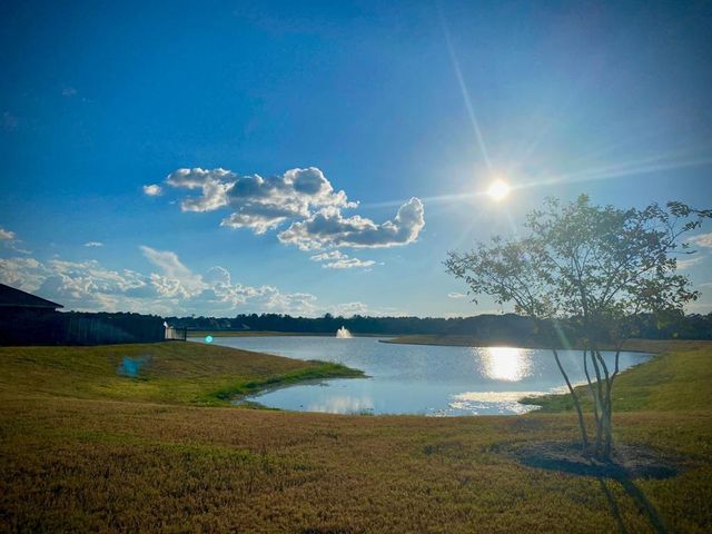14206 W Pine Heart Drive, Conroe, TX 77302