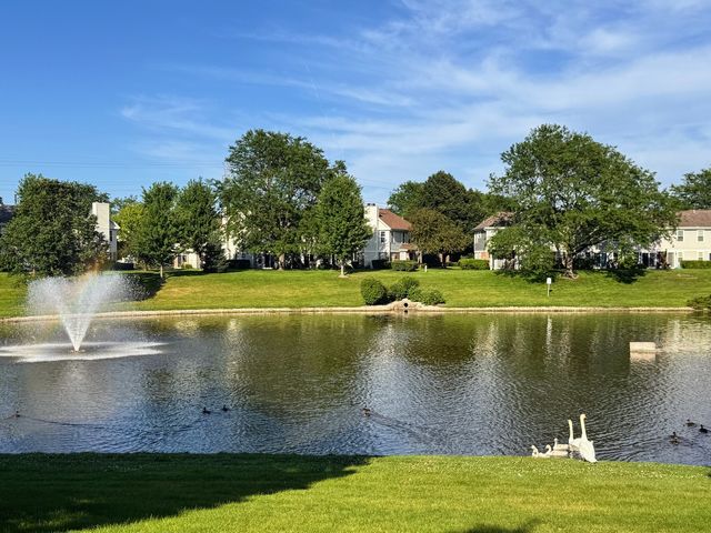 115 E Fabish Drive 115, Buffalo Grove, IL 60089