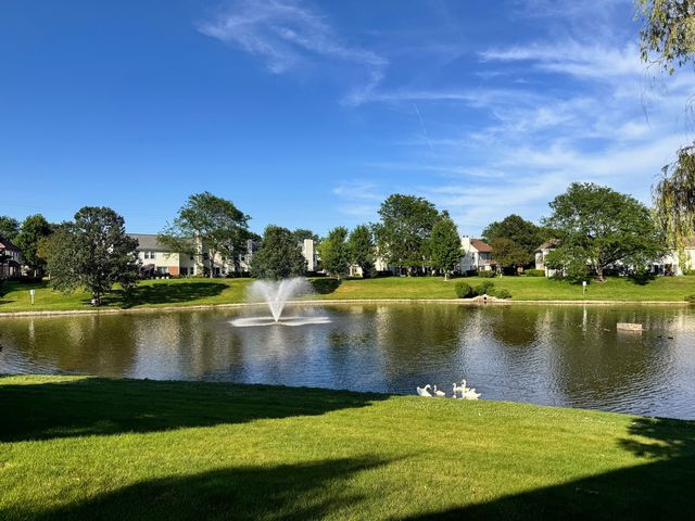 115 E Fabish Drive 115, Buffalo Grove, IL 60089