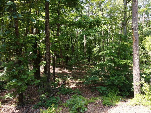 132 Valleyview Drive, Bostic, NC 28018
