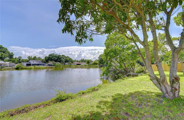 7214 NIA LANE, Tampa, FL 33625