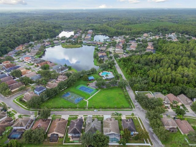 15907 POND RUSH COURT, Land O Lakes, FL 34638
