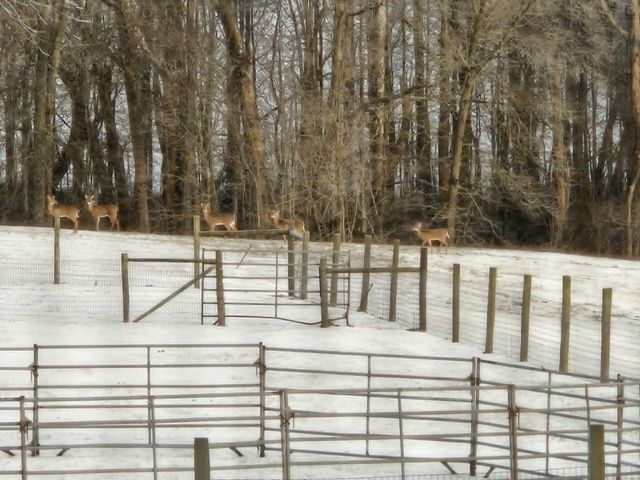 2335 Liberty Road, Crab Orchard, KY 40419