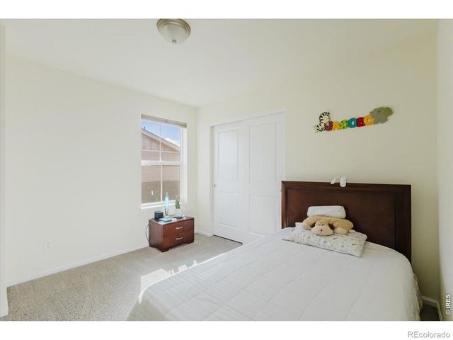 1920 Los Cabos Drive, Windsor, CO 80550