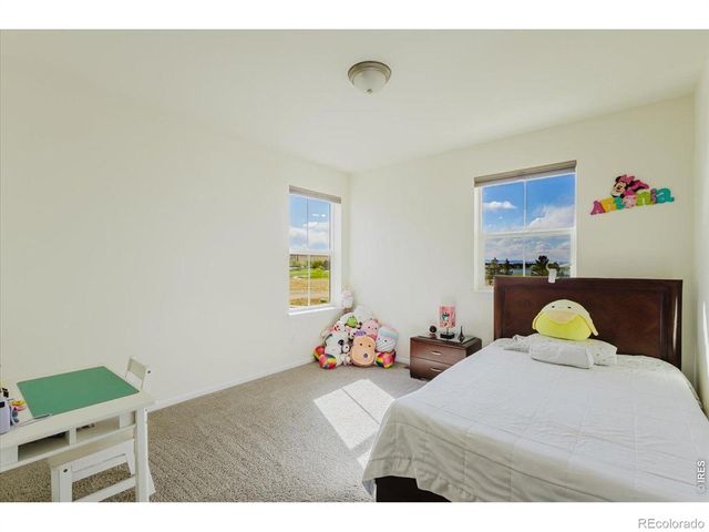 1920 Los Cabos Drive, Windsor, CO 80550